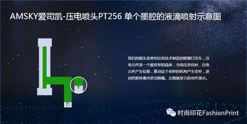 爱司凯最新爆料,揭秘行业变革背后的秘密